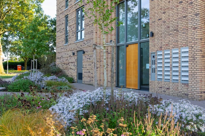 Foto 50 van Koningslinde 1-H01