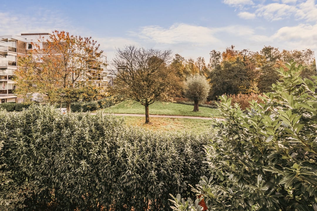 Foto 28 van Parnassiaveld 35