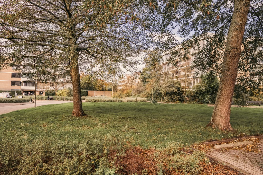 Foto 31 van Parnassiaveld 35