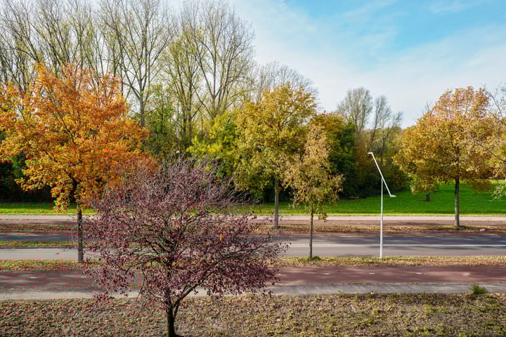 Foto 41 van Boymansweg 17