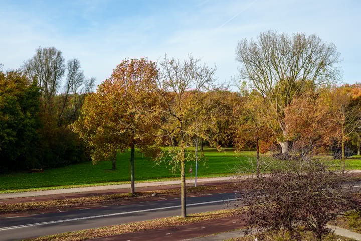 Foto 42 van Boymansweg 17