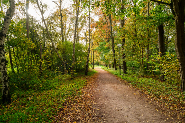 Foto 49 van Boymansweg 17