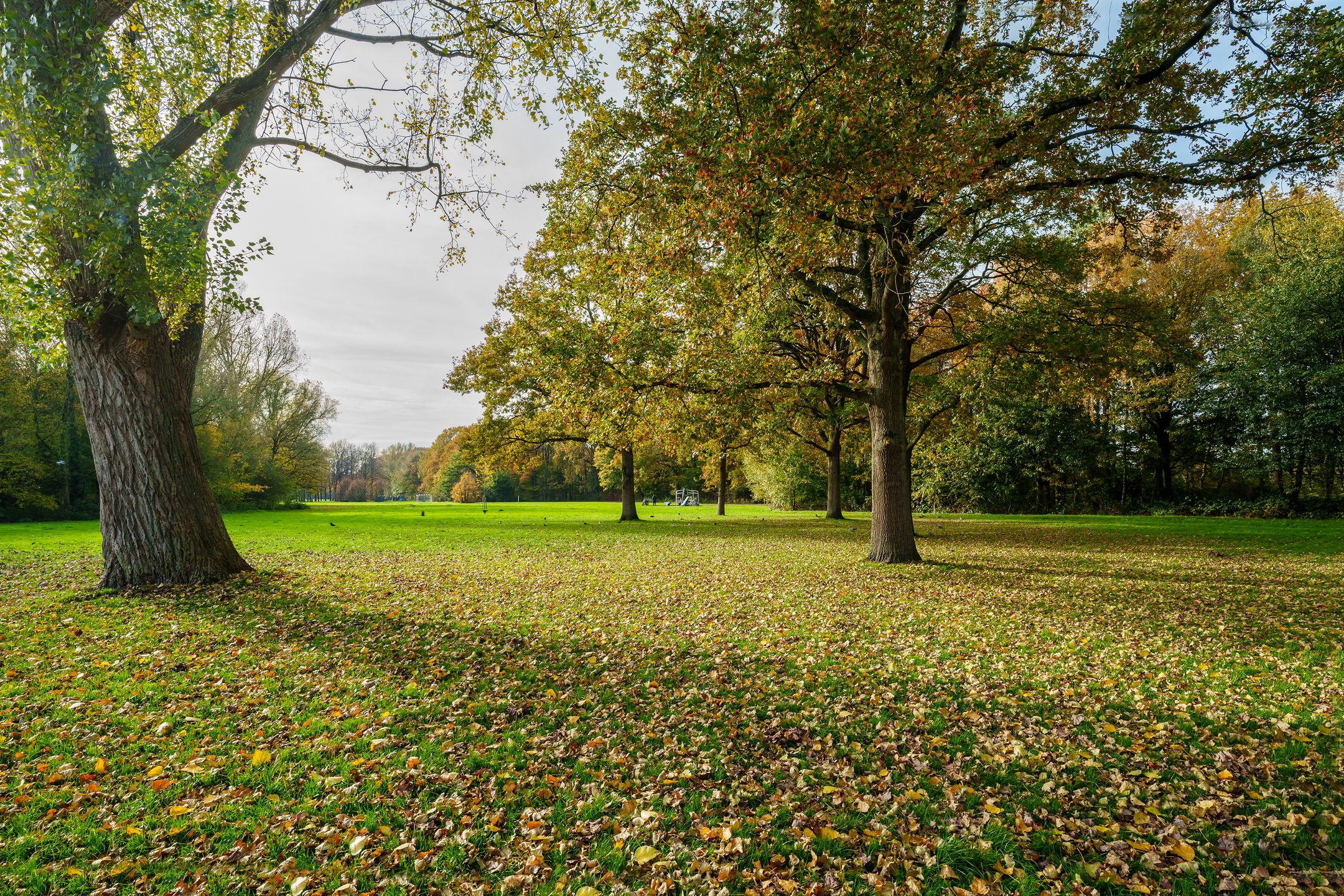 Foto 48 van Boymansweg 17