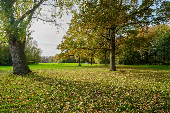 Foto 48 van Boymansweg 17