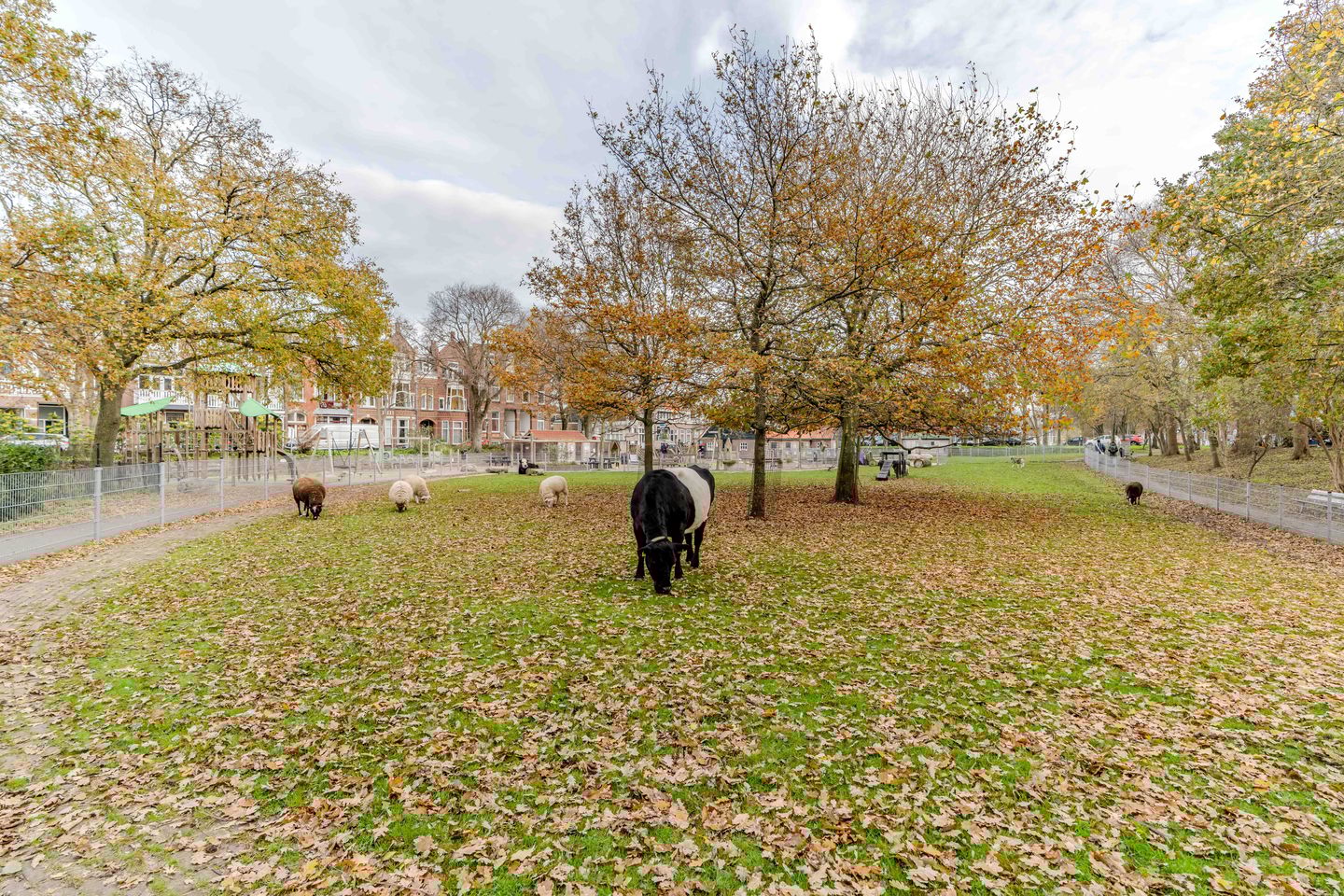 Foto 44 van Gondelstraat 51