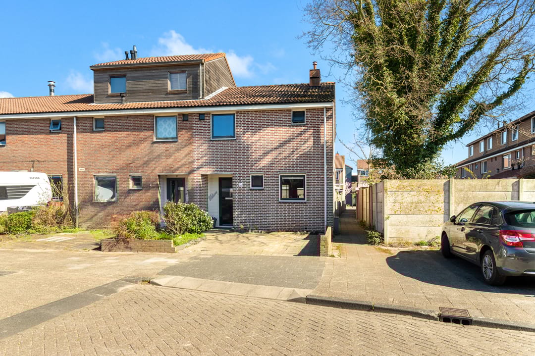 Foto 1 van Dotterbloem 2