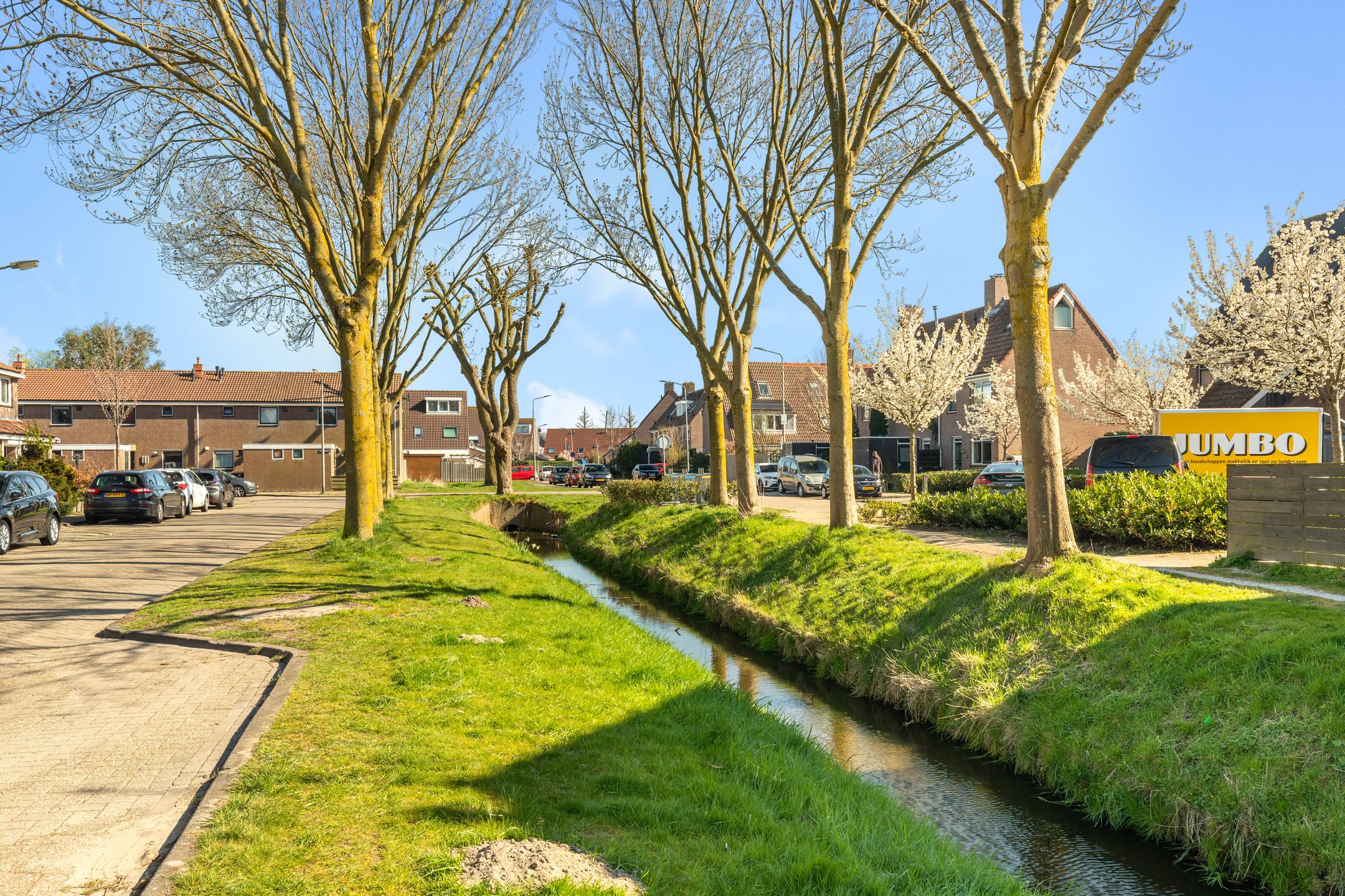 Foto 30 van Dotterbloem 2