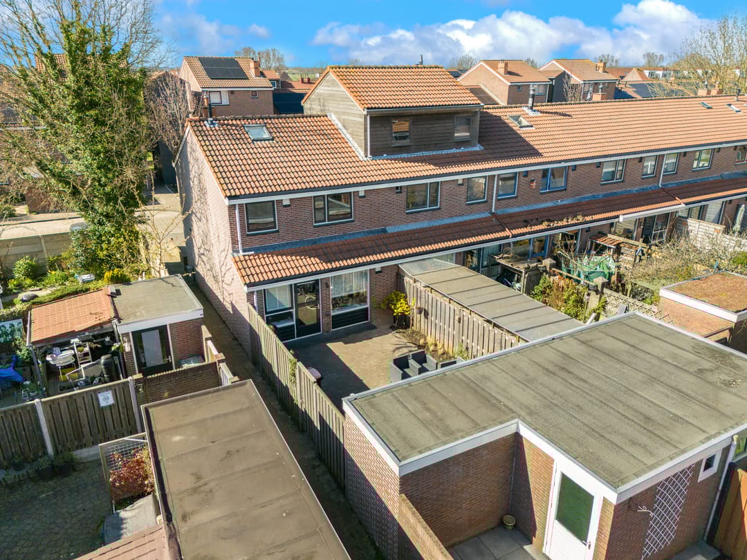 Foto 31 van Dotterbloem 2