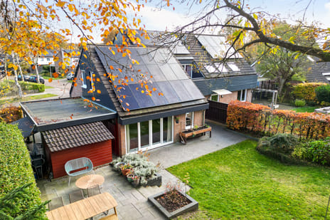 Boerhoorn 4 secondary image