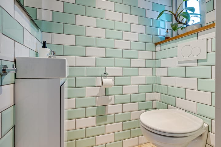 Foto 9 van Boerhoorn 4