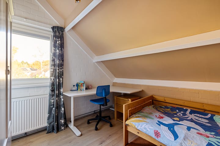 Foto 43 van Boerhoorn 4