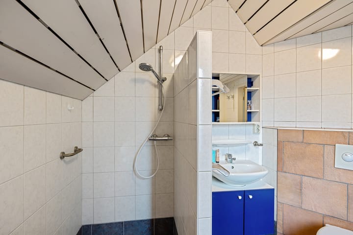 Foto 47 van Boerhoorn 4