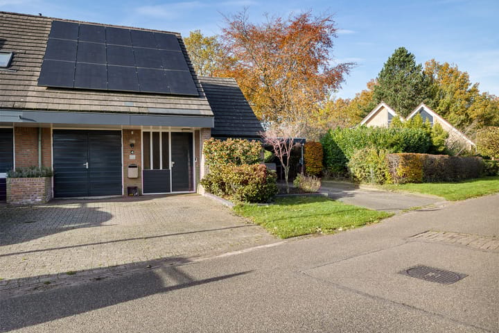 Foto 55 van Boerhoorn 4