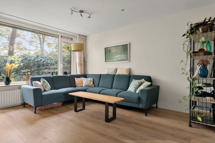 Photo 4 of Paulus Potterstraat 61