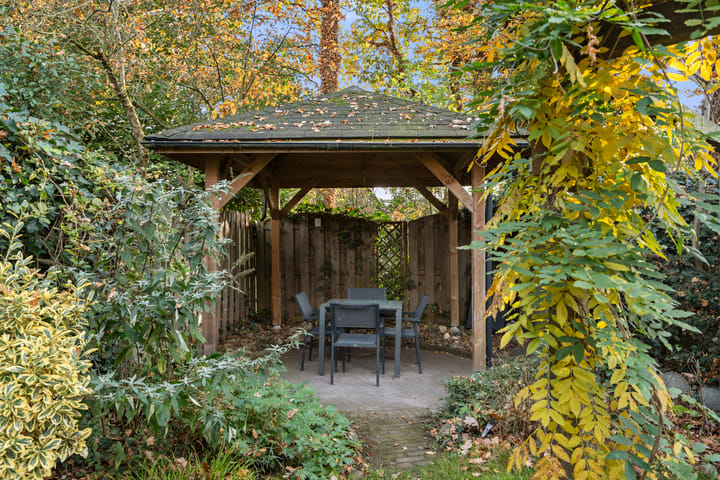 Foto 31 van Paulus Potterstraat 61