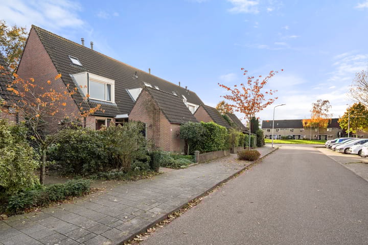 Foto 35 van Paulus Potterstraat 61