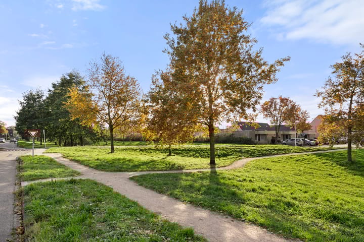 Foto 36 van Paulus Potterstraat 61