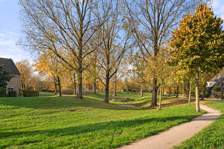 Foto 37 van Paulus Potterstraat 61