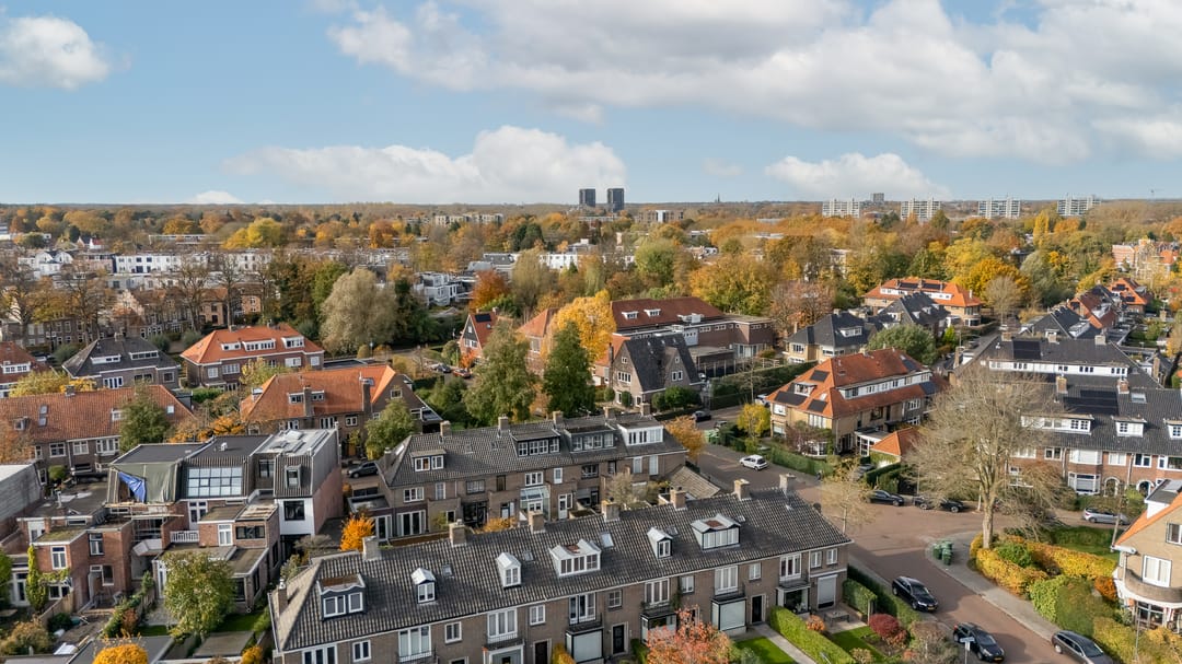 Foto 31 van Burgemeester Serrarislaan 51