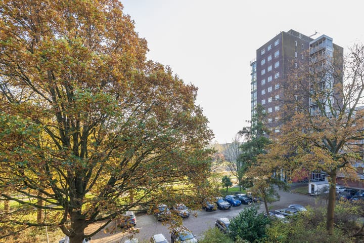 Photo 16 of Roodborststraat 55