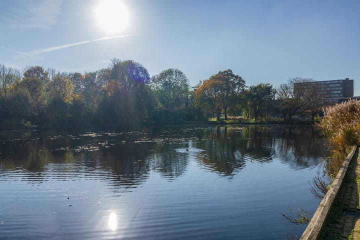 Photo 25 of Roodborststraat 55