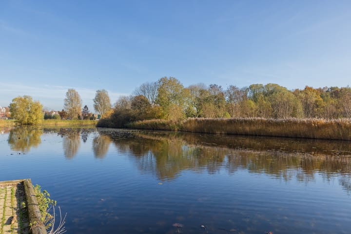 Photo 26 of Roodborststraat 55