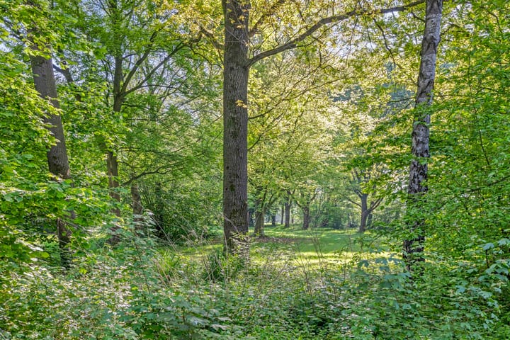 Photo 21 of Zwembadweg 2-BG86