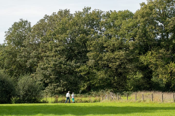 Photo 27 of Zwembadweg 2-BG86