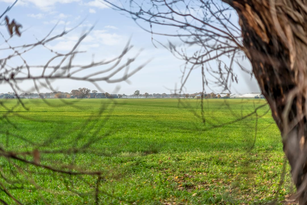 Foto 8 van 1e Schansweg 17