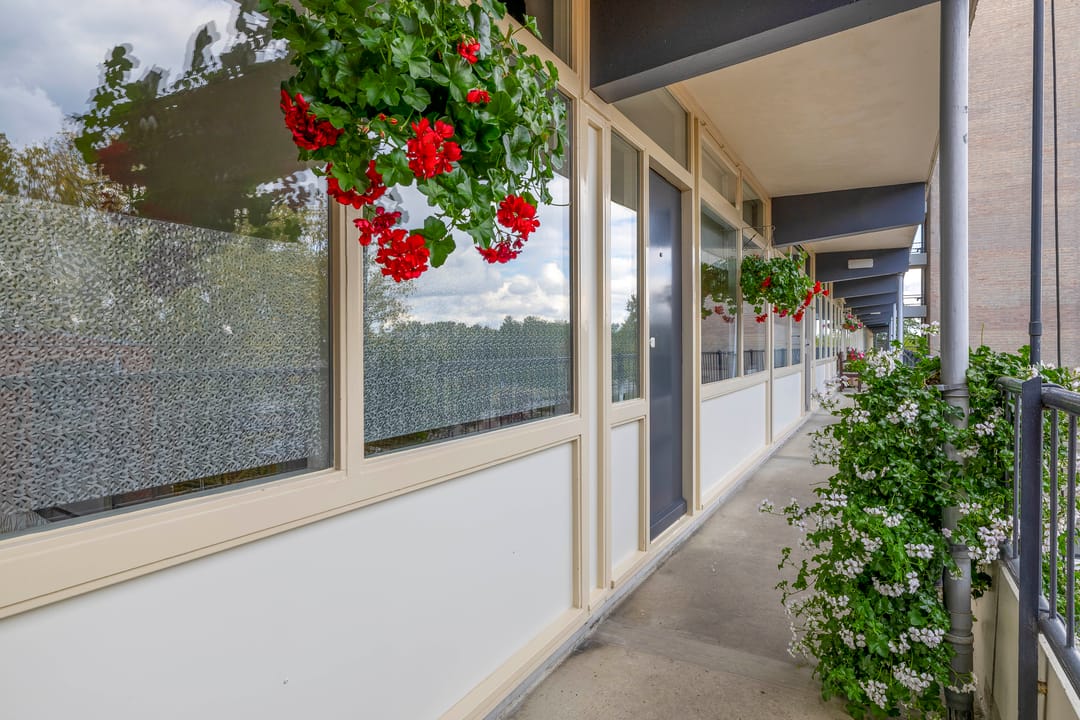 Foto 11 van Middenwetering 269