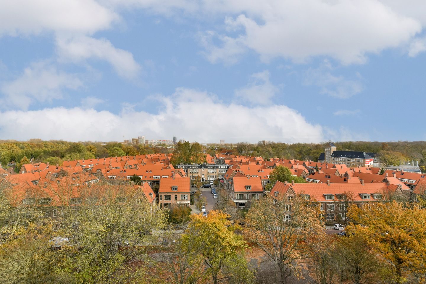 Foto 5 van Albatrospad 141