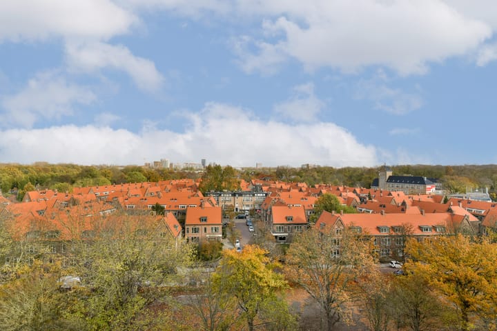 Foto 5 van Albatrospad 141