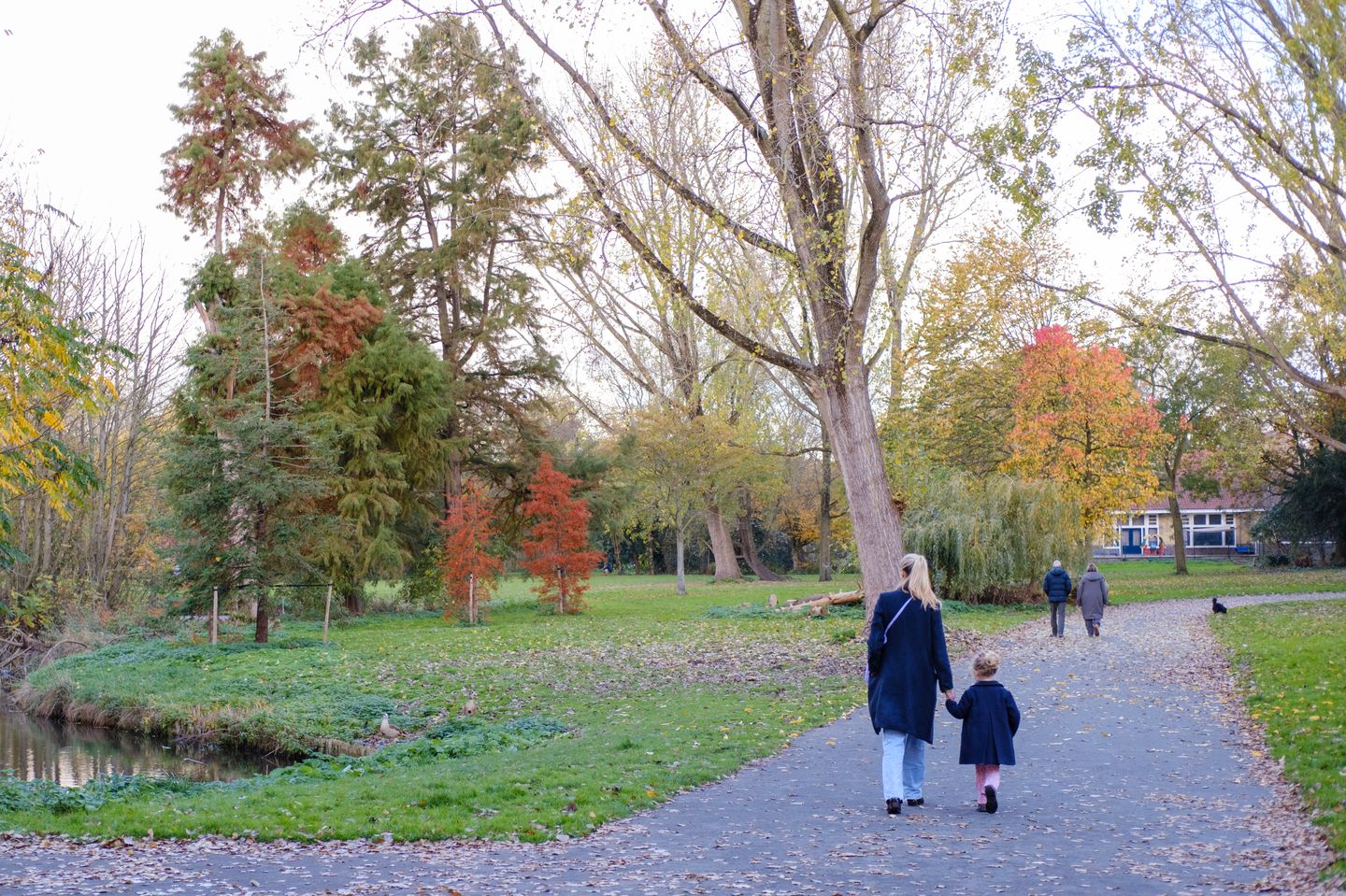 Foto 20 van Albatrospad 141