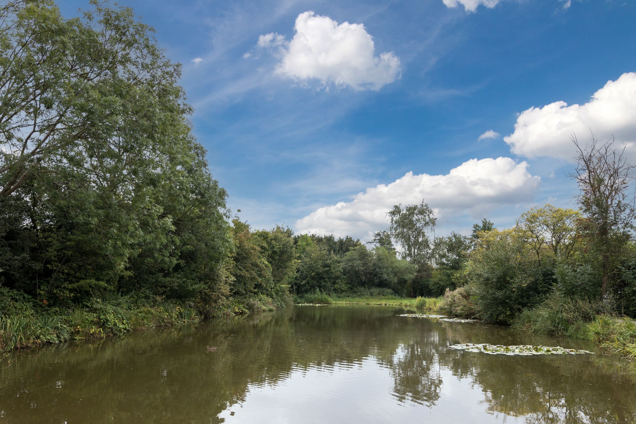 Foto 33 van Grutto 73