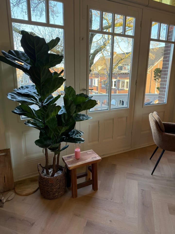 Foto 21 van Villa Padua appartement 4