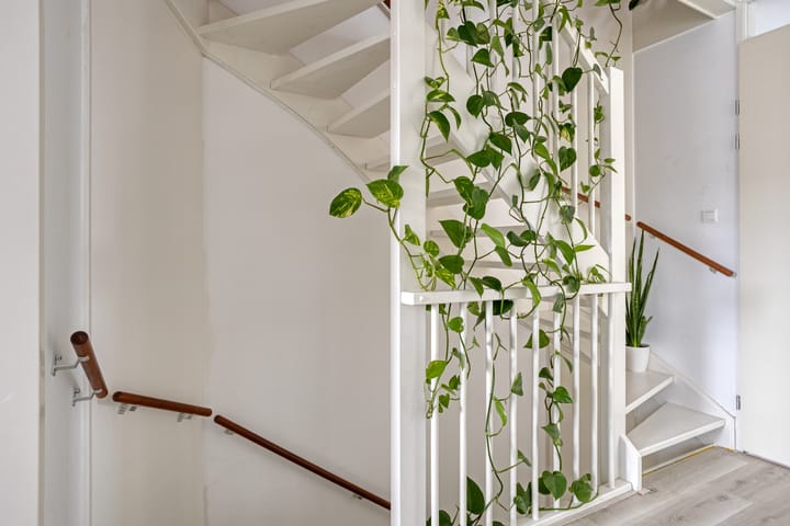 Foto 25 van Blauwe Schoe 10