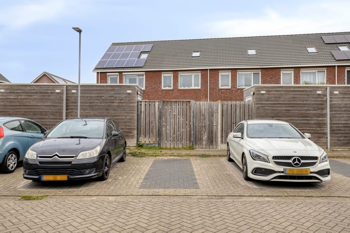 Foto 36 van Blauwe Schoe 10