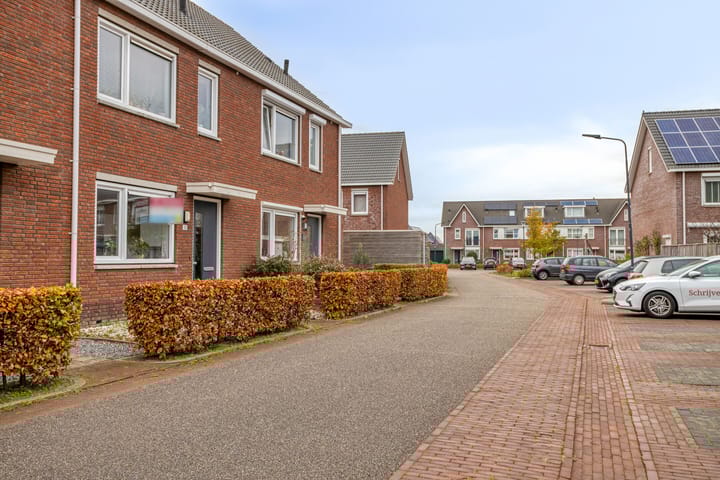 Foto 38 van Blauwe Schoe 10