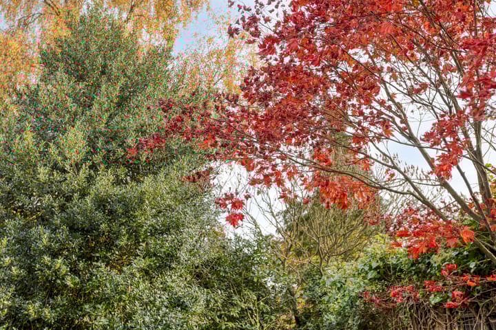 Photo 37 of Polakstraat 61