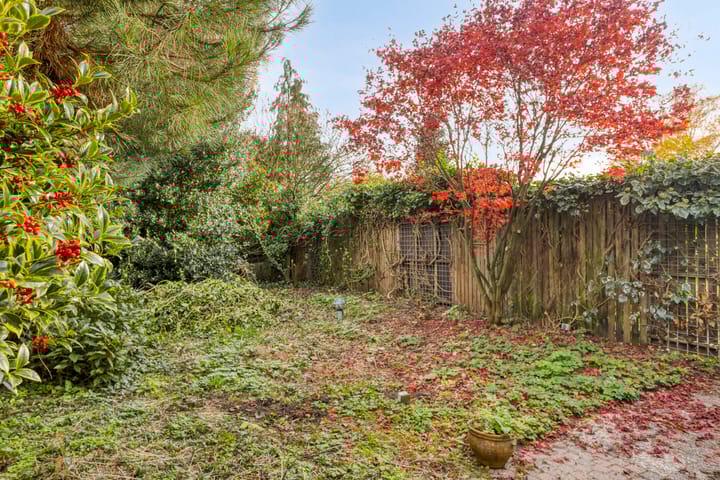 Photo 38 of Polakstraat 61