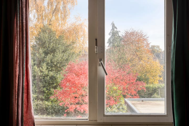 Photo 30 of Polakstraat 61