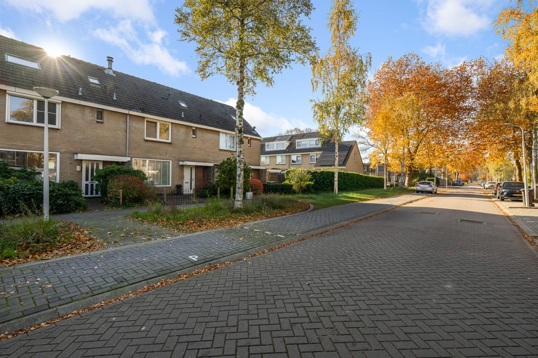 Foto 47 van Boeierlaan 18