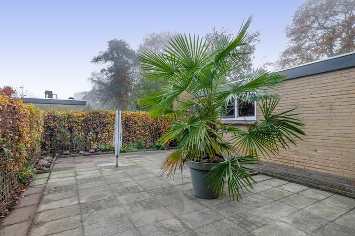 Photo 21 of Galamalaan 16