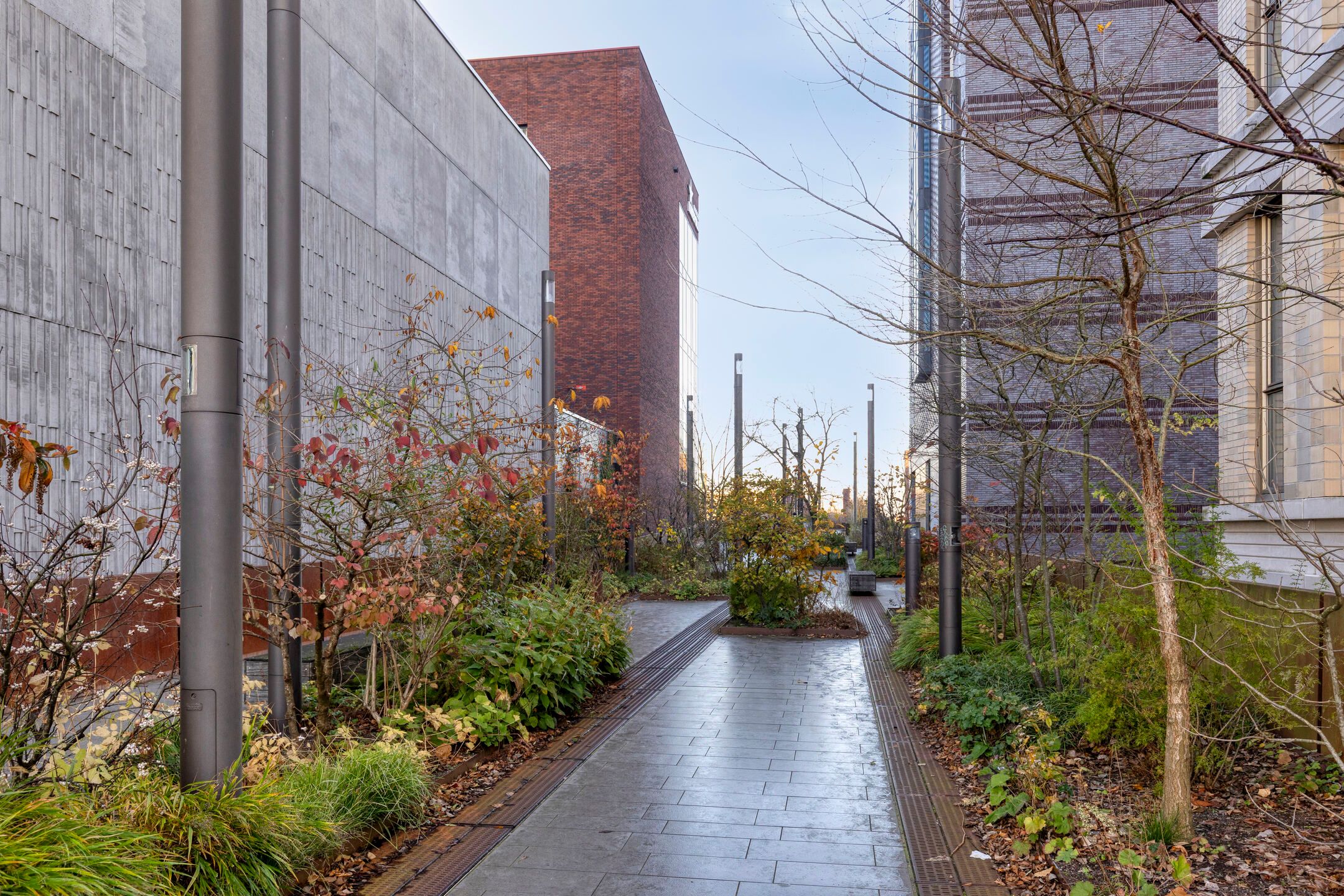 Photo 21 of Kanseliersplein 181