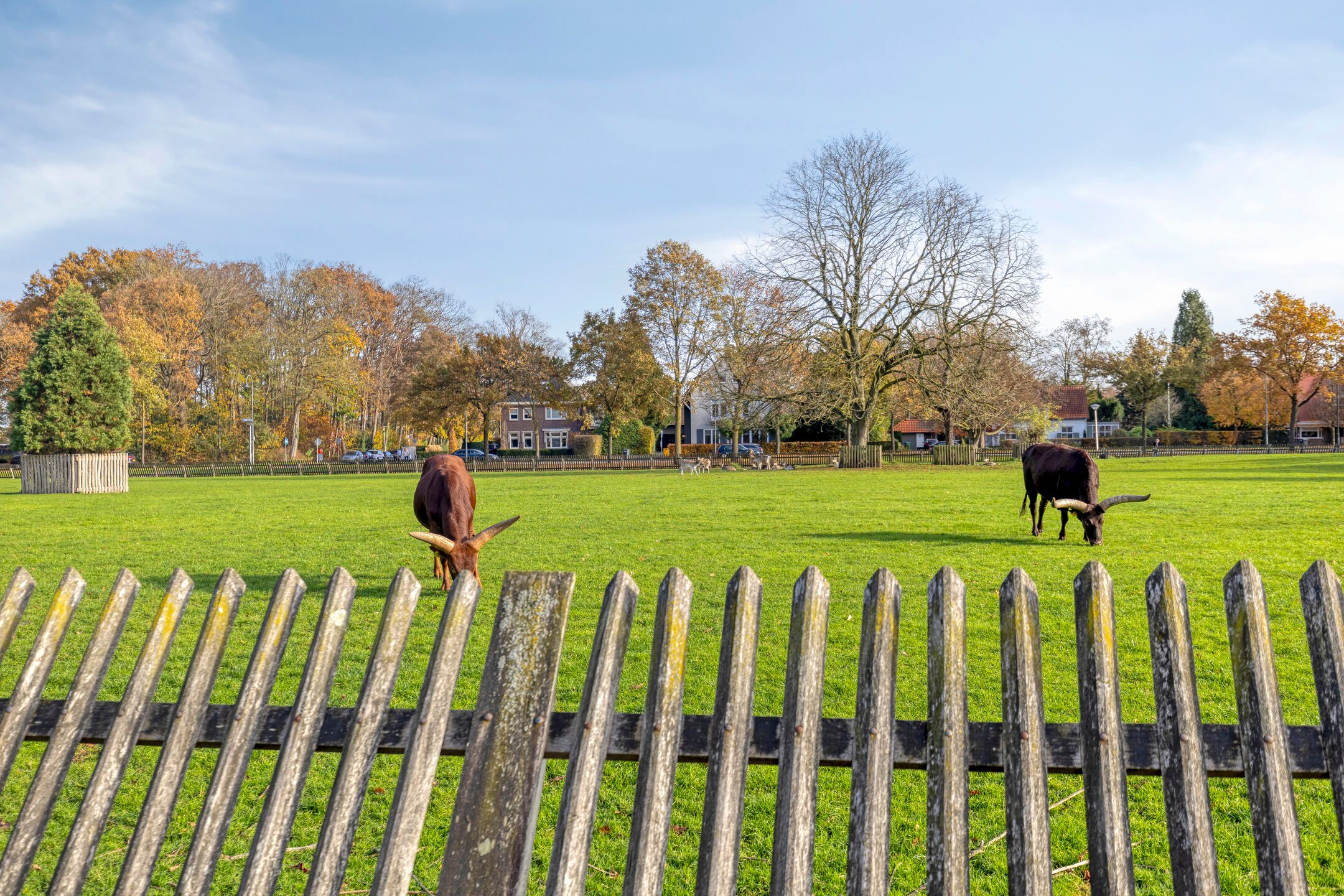 Foto 39 van Julianalaan 55