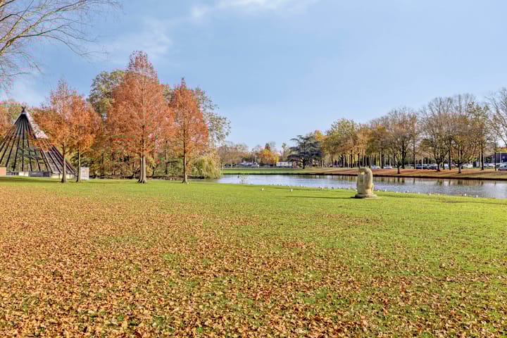 Foto 38 van Julianalaan 55