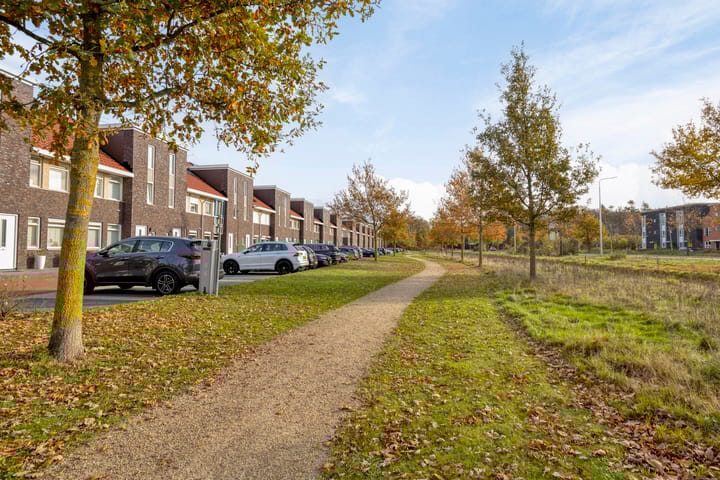 Foto 39 van Springerstraat 6