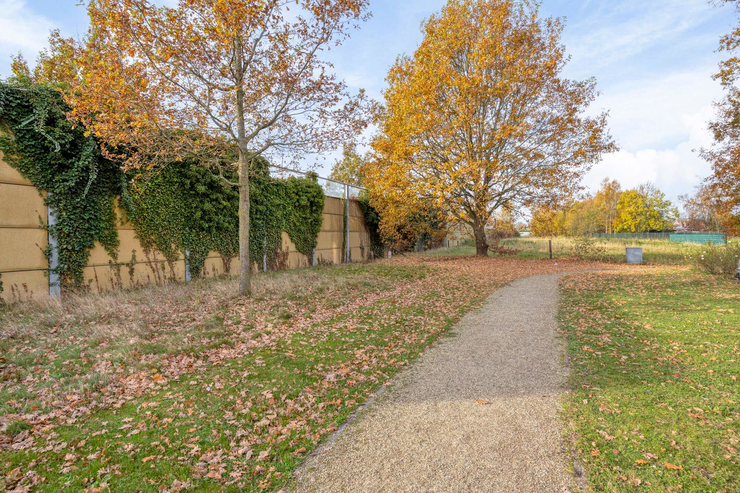 Foto 40 van Springerstraat 6