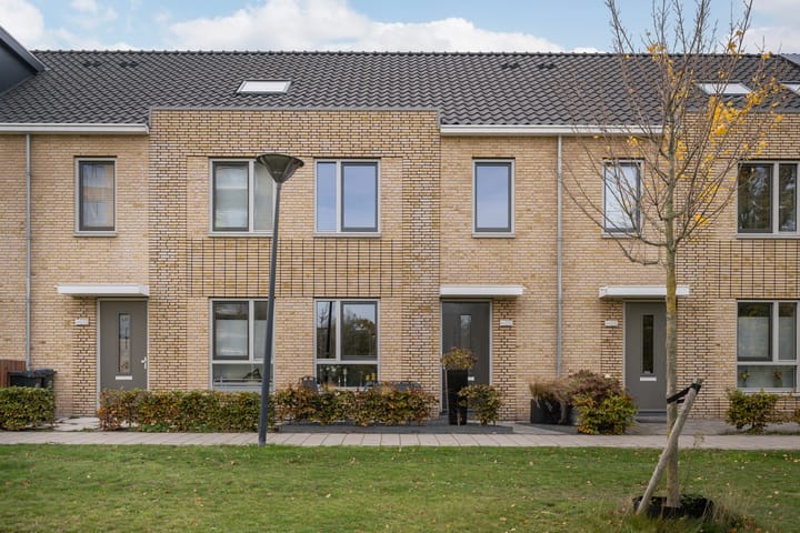 Ellen van Langenpad 46 main image