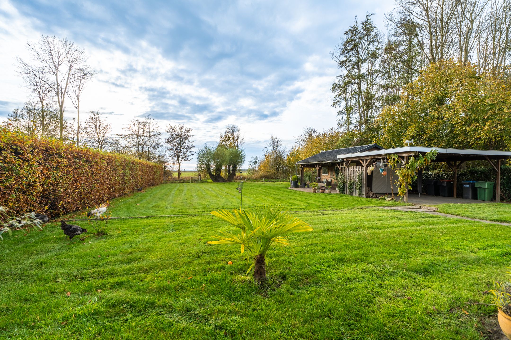 Foto 51 van Hamrikkerweg 118-A